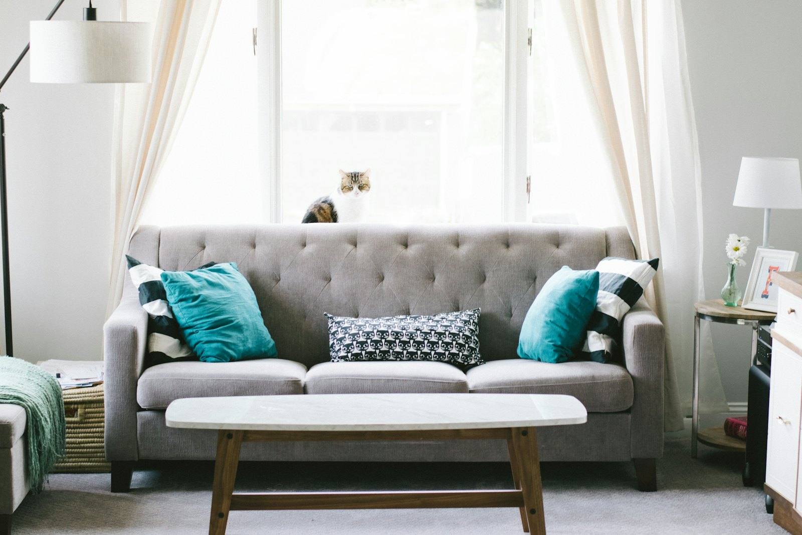 Cozy living room